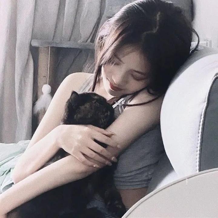 莫顿船长与蜘蛛女王