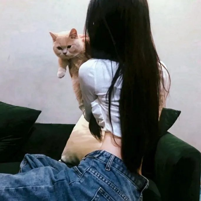 盲侠大追杀